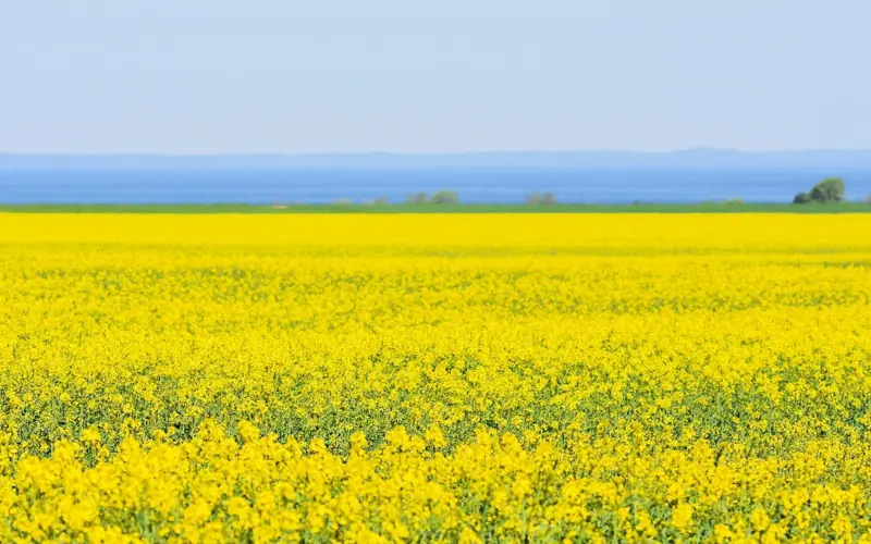 Skåne